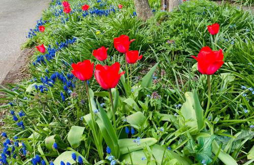 Jackson Star, A MidCentury Dream - Photo 33