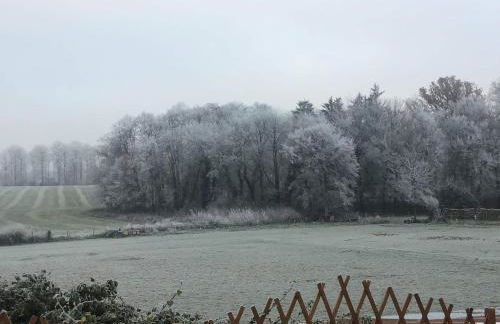 L'appel de la foret - Foto 12