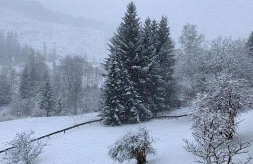 Apartment am Wasserfall mit Sauna & Top-Lage - Foto 18