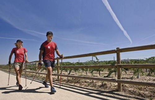 MASIA BARTOMEU Rural house between vineyards 2km from the beach - Foto 38