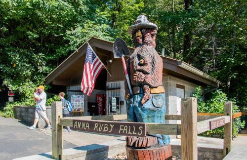 Mountain Top Retreat - Foto 42