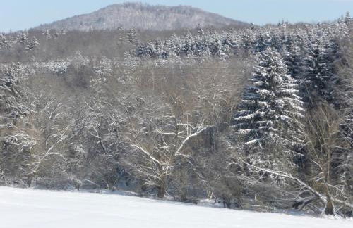 Ferienwohnung in der Rhön - Foto 14