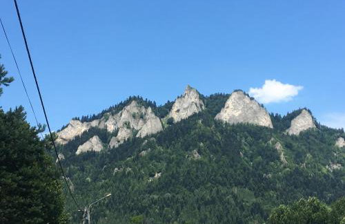 Apartamenty w Jurgowie Świstokówka - Foto 4