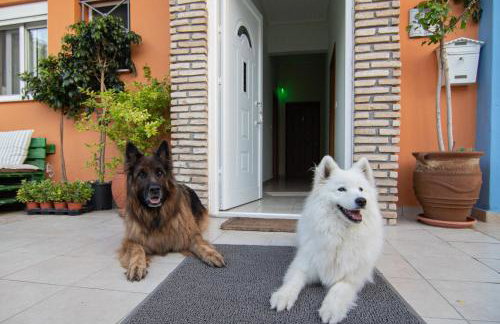 Tsertos Apartments - Foto 20