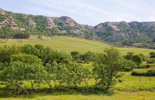 Apartments Sara & Kiki - Foto 10