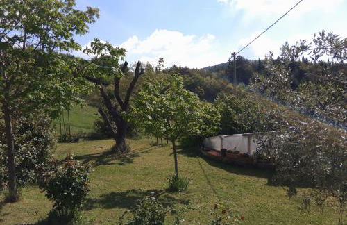 B&B Bosimano - Foto 15