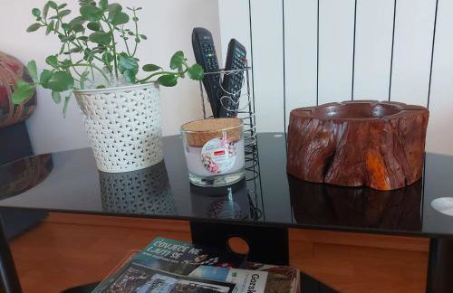 Apartman Skender 3* Ravna Gora - Foto 58