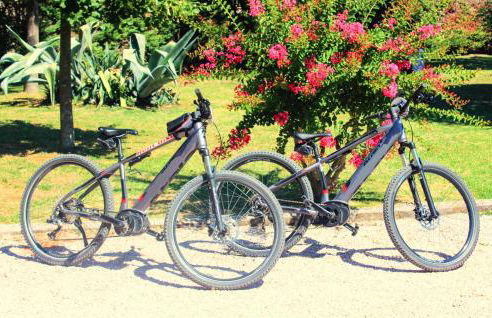 Cozy Apartment In Castiglione Del Lago - Foto 38