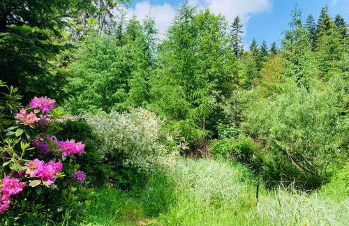 Dom CROCUS z ogrodem w Parku Krajobrazowym - Foto 39