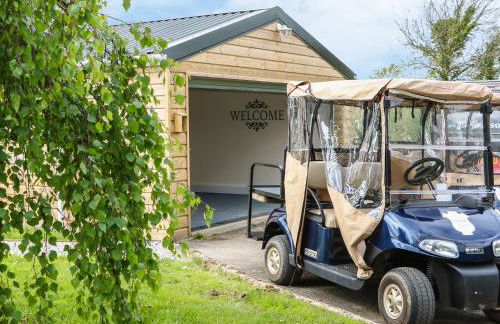 Little Silver Leaf - Foto 21