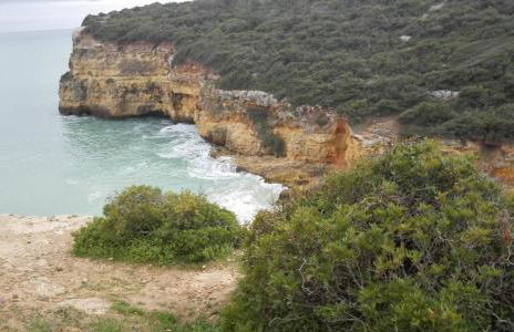 Apartamento Moura - Foto 18