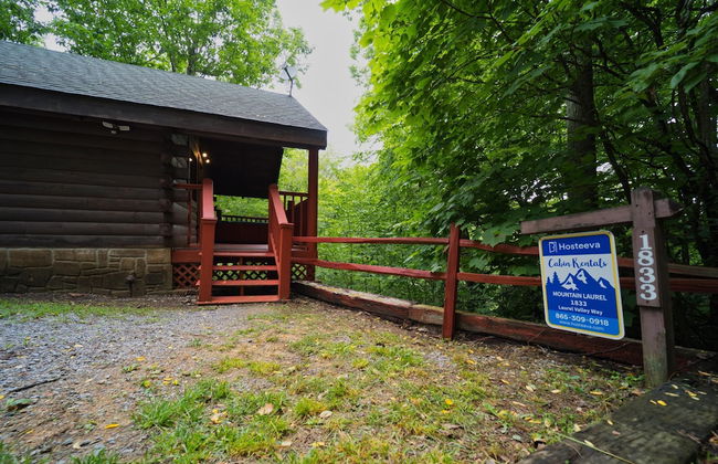 Mountain Laurel - Foto 31