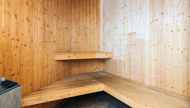 Holiday Home in Blåvand - Foto 3, Sauna