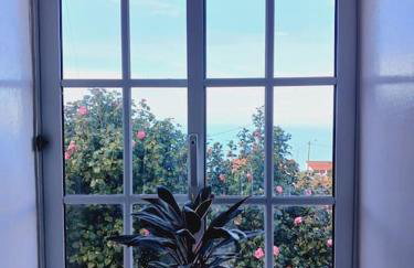 Achadas da Cruz Farm House - Foto 17