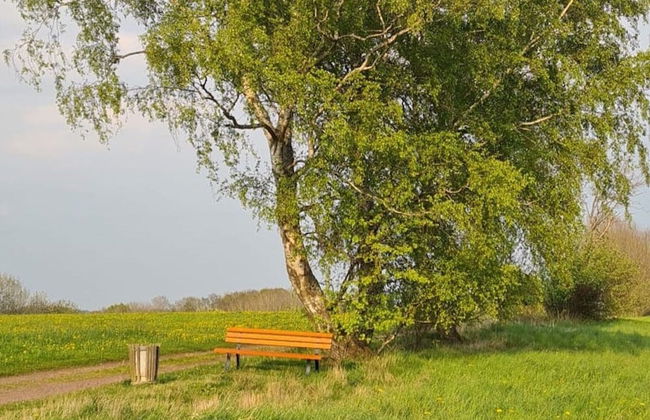 Relaxing Holiday Home in Willersdorf in the Forest - Photo 79