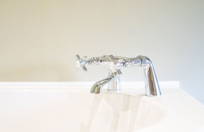 The Patches - Photo 21