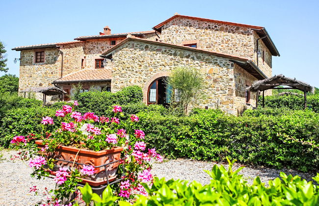 Pulcino n°3 - Foto 17