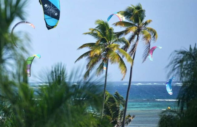 Le Village de la Pointe - Photo 50