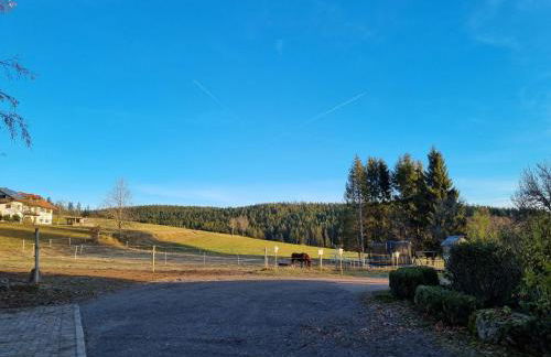 Landhaus Black Forest - Foto 7