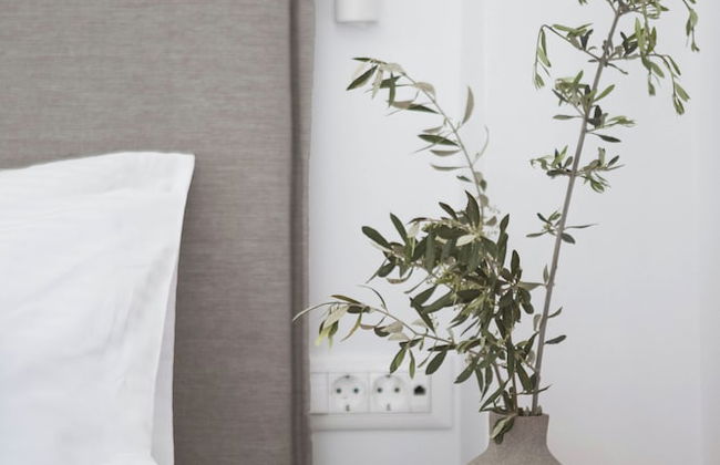 Hermes & Dione - Foto 3