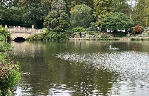 The Lily Pad - Boutique Townhouse, a short walk to Town Center and Racecourse - Photo 13