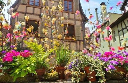 La Maison des Tanneurs - Foto 57