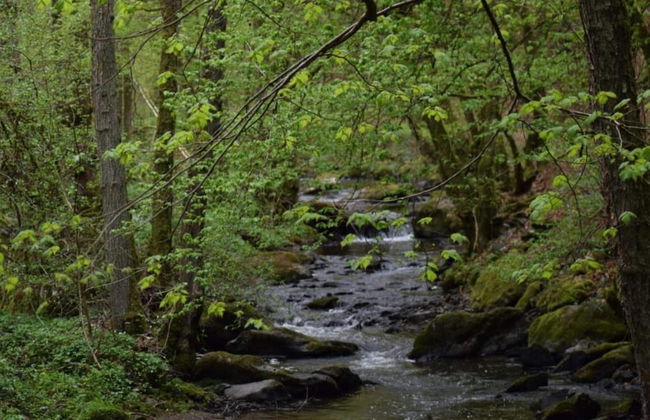 Apartment in Morbach Near Ski Lift - Photo 33