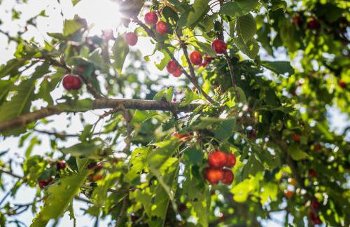 Villa Legacy - Foto 52