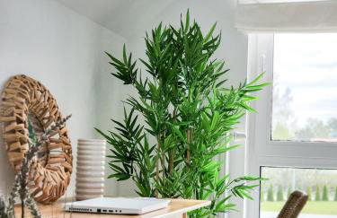 Błękitna Dębki - Foto 30