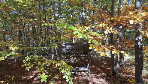 Ferienwohnung Bleicherode - Photo 2