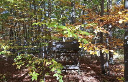 Ferienwohnung Bleicherode - Foto 2