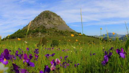 Au gîte 1619 - Foto 5