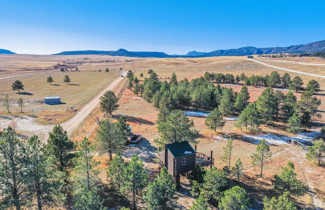 Tree Deer Blind - Foto 36