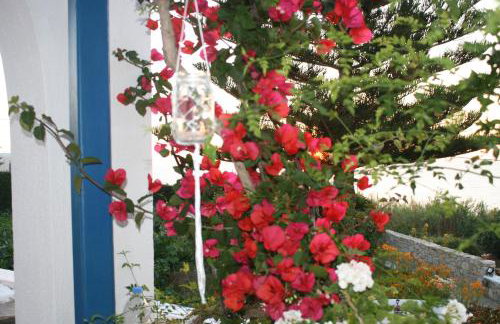 Flora's Apartments - Foto 45