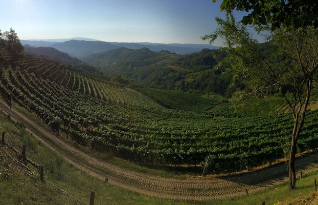 Cascina Bertolotto Wine Resort. - Foto 33