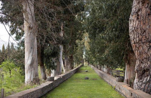 Parco Statella - Foto 60