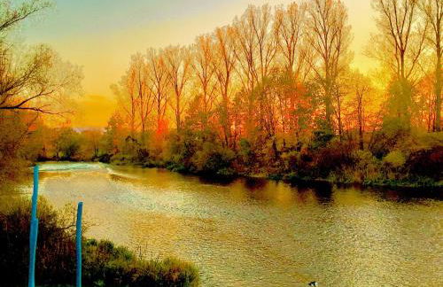 Rhein Romantik riverview - Foto 17