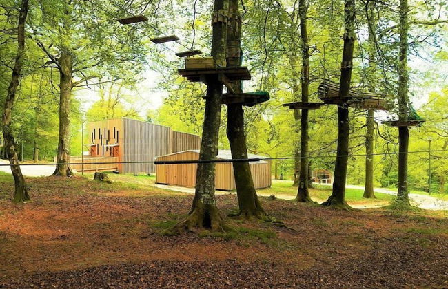 Etape en forêt - Foto 64