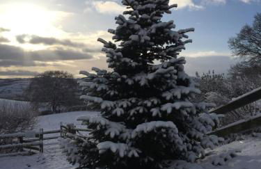 Long Mountain Centre Log Cabins - Foto 40