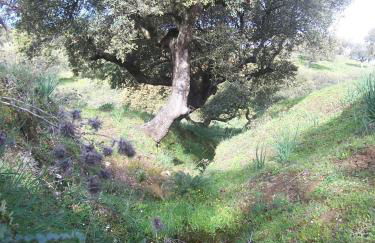 Casa Rural Abuela Maxi - Foto 74