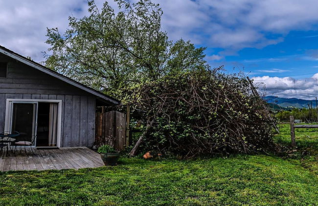 Hopyard View Farm - A Farm Experience in Ashland - Foto 21
