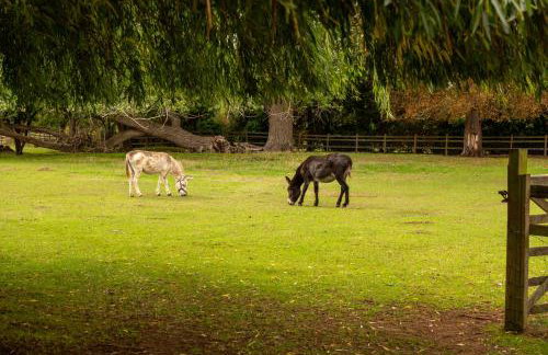 Family Cotswolds Cottage Farm Stay - The Smythy - Foto 64