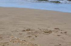 Premium Apartment 8 pers with a rooftop swimming pool and sea views - 3 min Playa de Cura - Foto 6