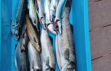 Old Farm renovated ,5 min from beach and forest - Foto 37