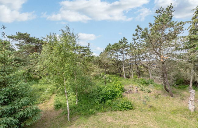 3 bedroom House in Sønderho with terrace and sauna - Photo 5