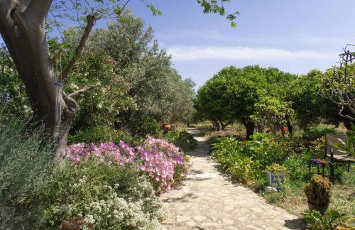 Phlea Farm Studios - Foto 17