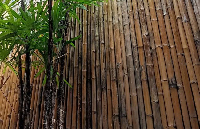 Bamboo Conservation Farm - Foto 41