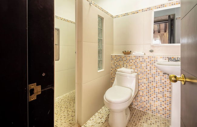 La Iguana Vallarta LGBT - Adults Only - Romantic Zone - Party Clubbing Street - Foto 22