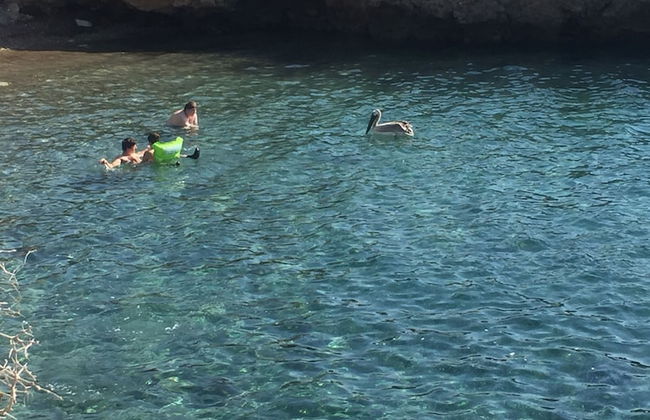 Rododafni Beach Apartments - Foto 72