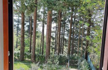 BELLA TUSCANY - Residence - Photo 50